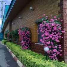 1693651862223.webp