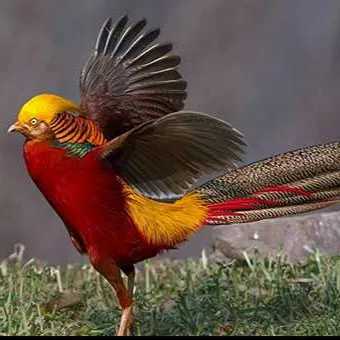 1693816126300.webp