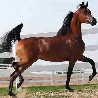 1693902405316.webp