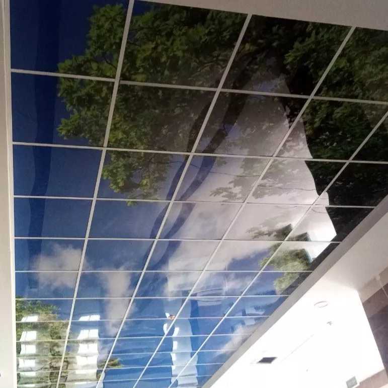 1694234888818.webp