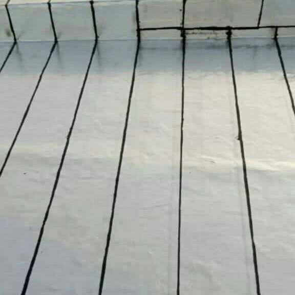 1694931434525.webp