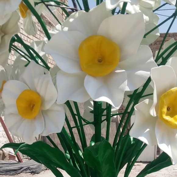 1694945540850.webp