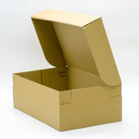 1696069344454.webp