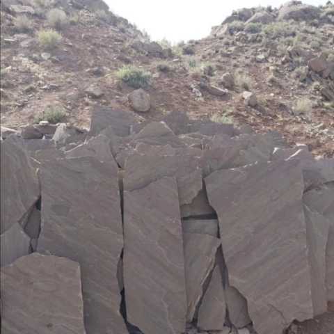 1696923157988.webp