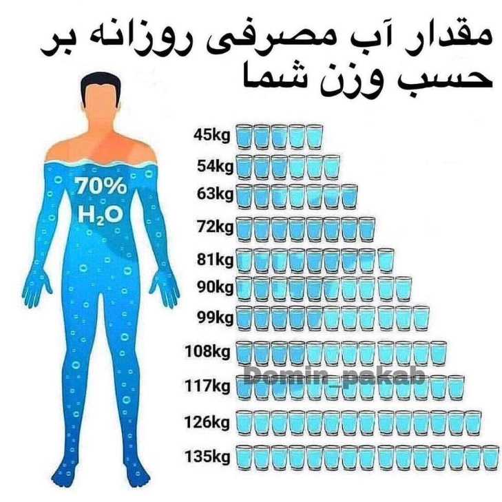 1697438082869.webp