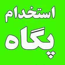 1697961015732.webp