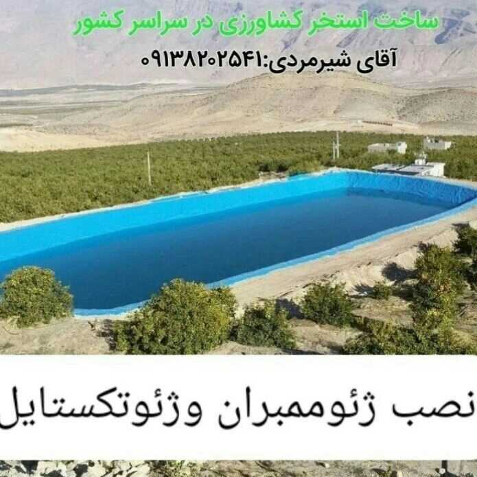 1698061778209.webp