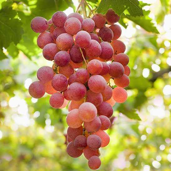 1698131055262.webp
