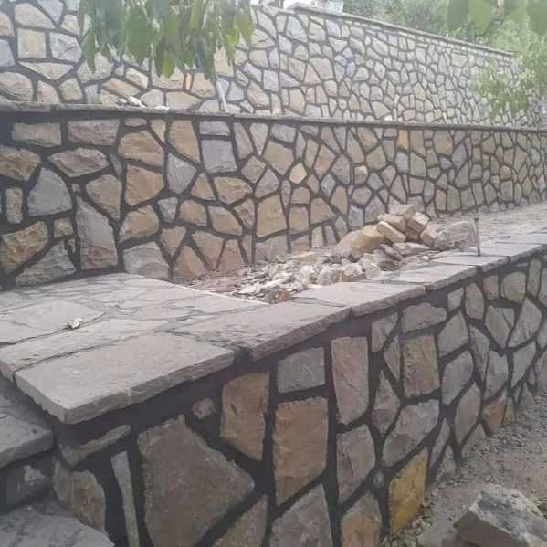 1698493729585.webp