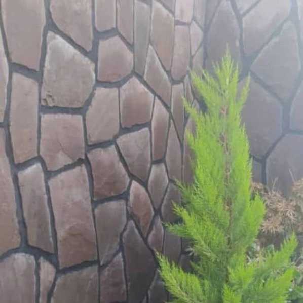 1698493812620.webp