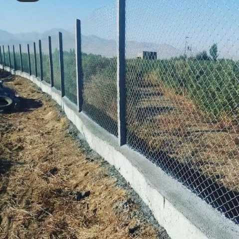 1698902676305.webp
