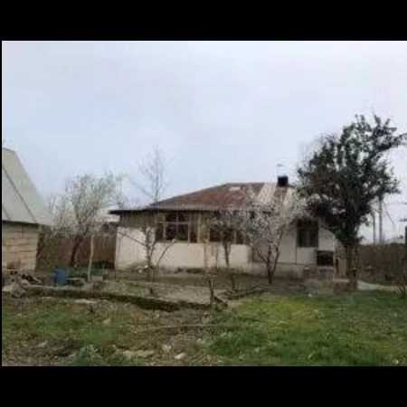1699089864956.webp