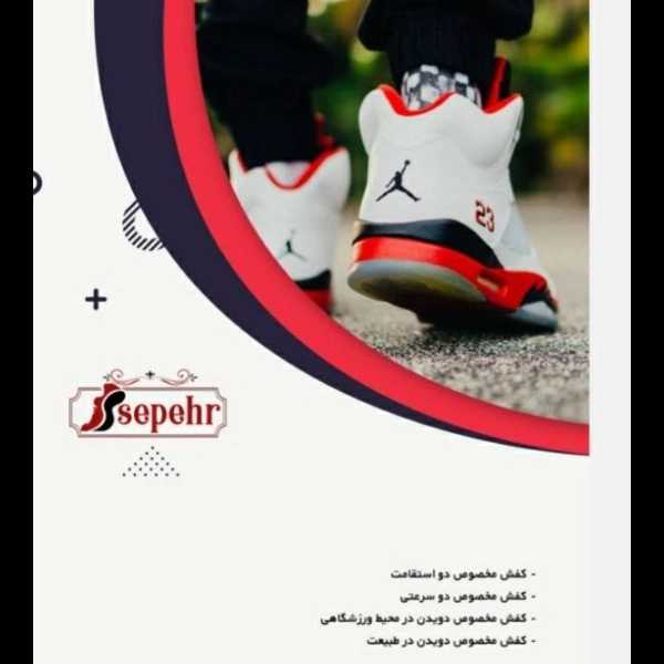 1699263990512.webp