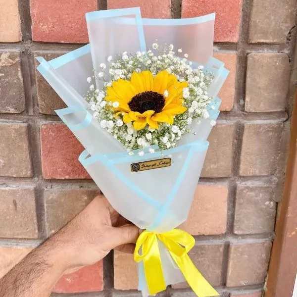 1699686124539.webp