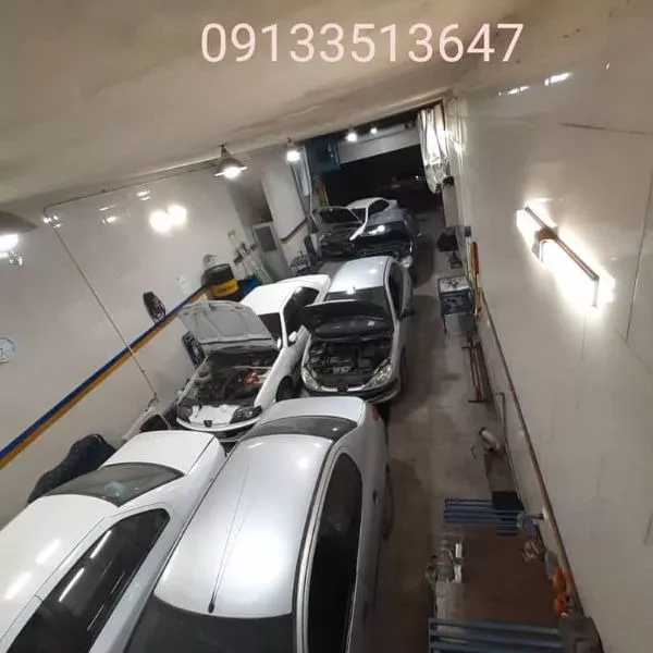 1700031685482.webp