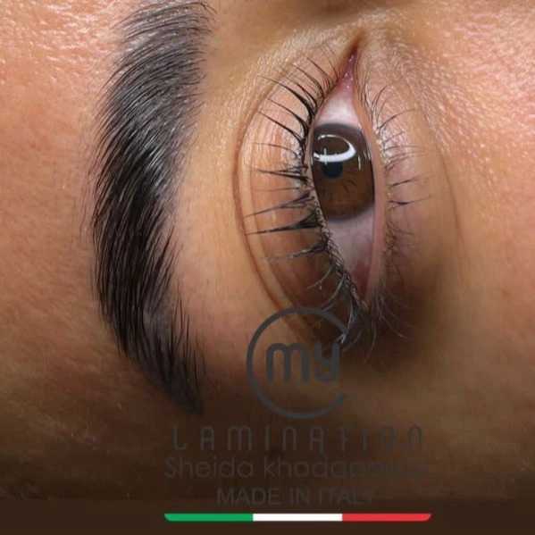 1700386859123.webp
