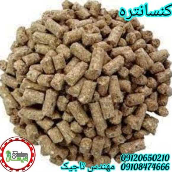 1700406212743.webp