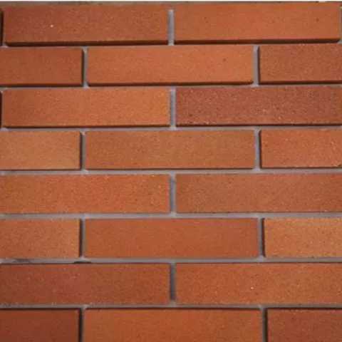 1700475659944.webp
