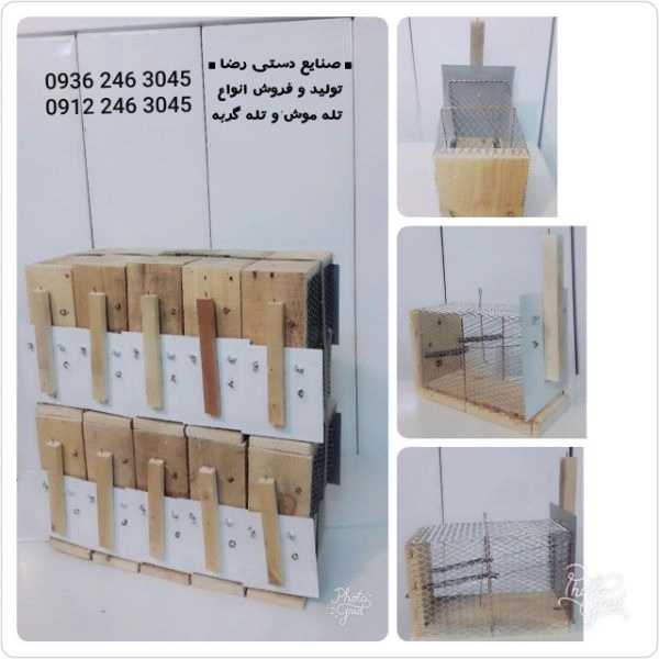 1700555930908.webp