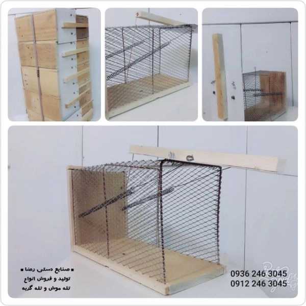 1700555939393.webp