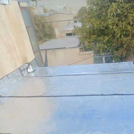 1701239795778.webp