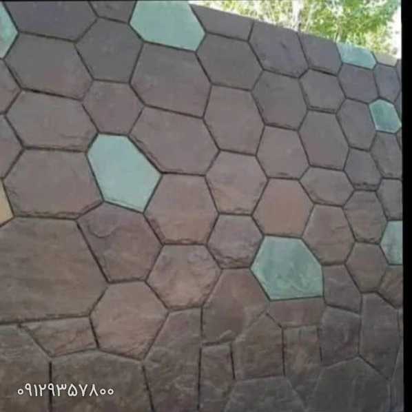 1701242468481.webp