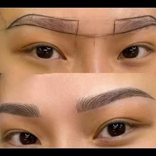 1703065869743.webp