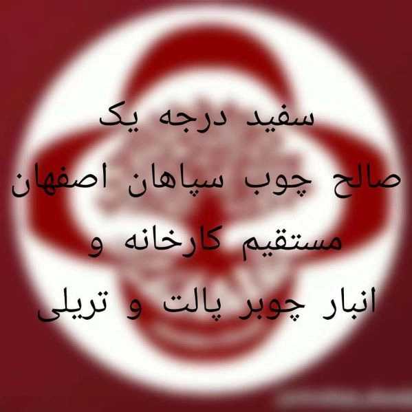 1703315001858.webp