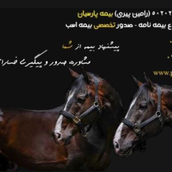 1703326262972.webp