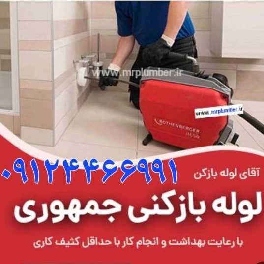 1704956267239.webp