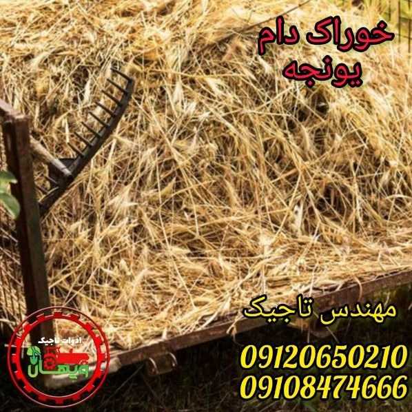 1706898022042.webp