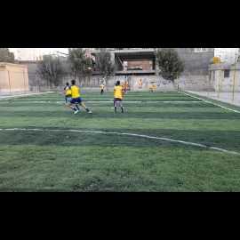 1707110703488.webp