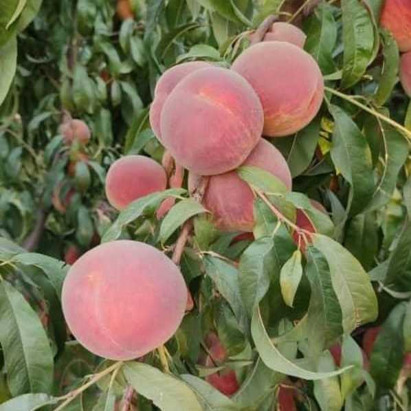 1707817136329.webp