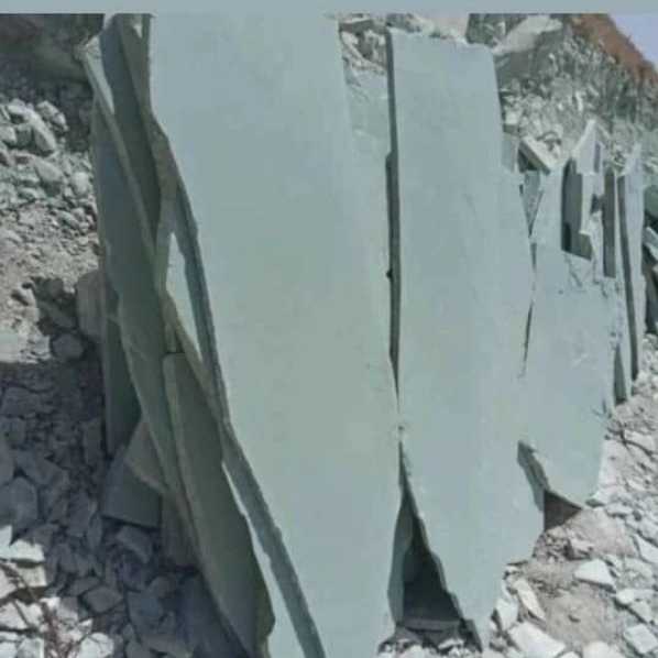 1708325924439.webp
