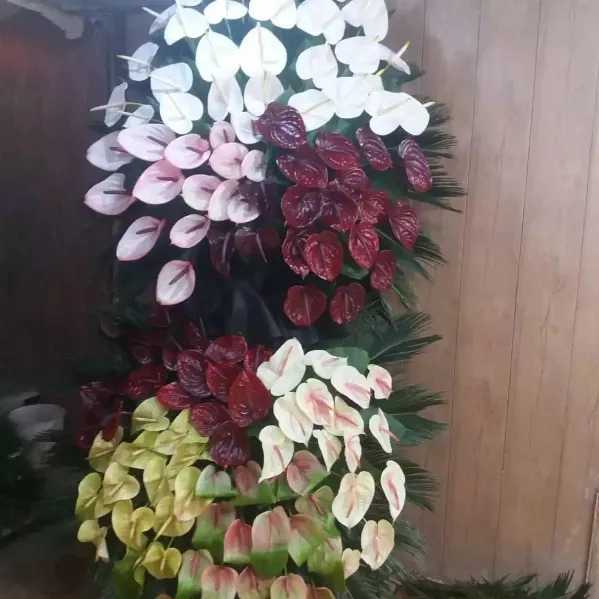 1710398664727.webp
