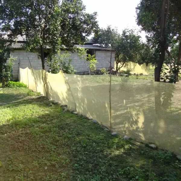 1710656945183.webp