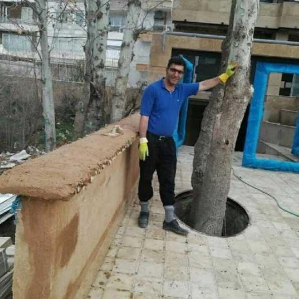 1713344773037.webp