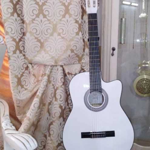 1716888099285.webp