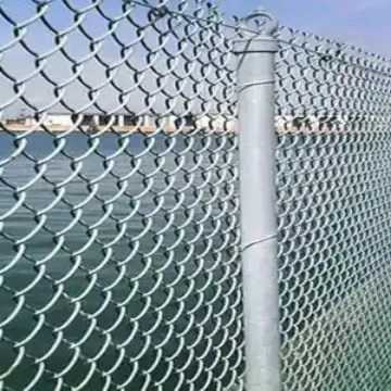1717833539852.webp