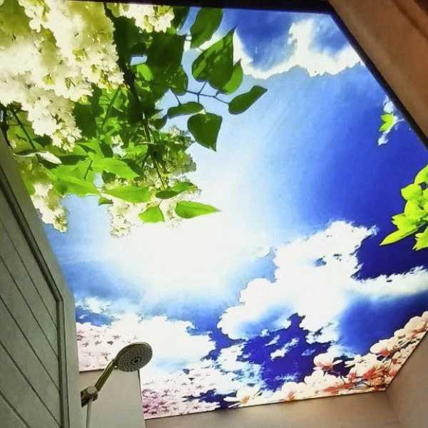 1718256449187.webp