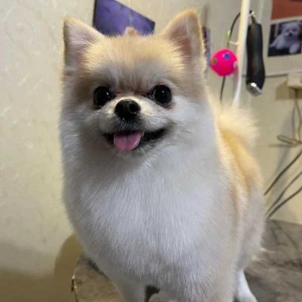 1718264340872.webp