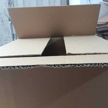 1721808779603.webp