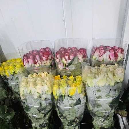 1723108204643.webp