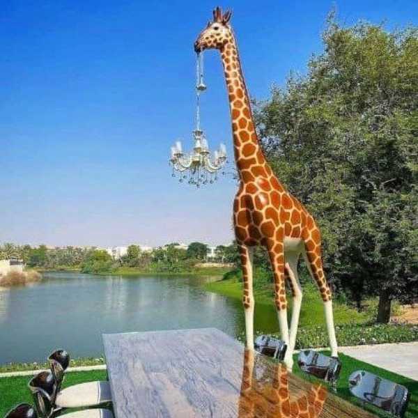 1723443800061.webp