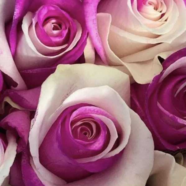 1724308376576.webp