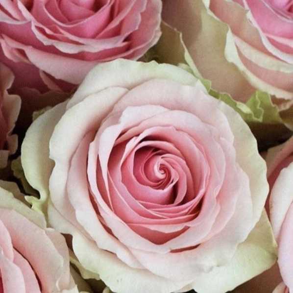 1724308475411.webp