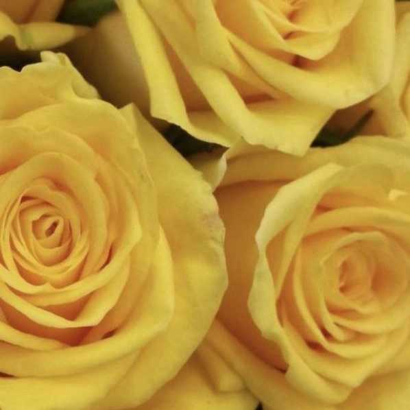 1724308483531.webp