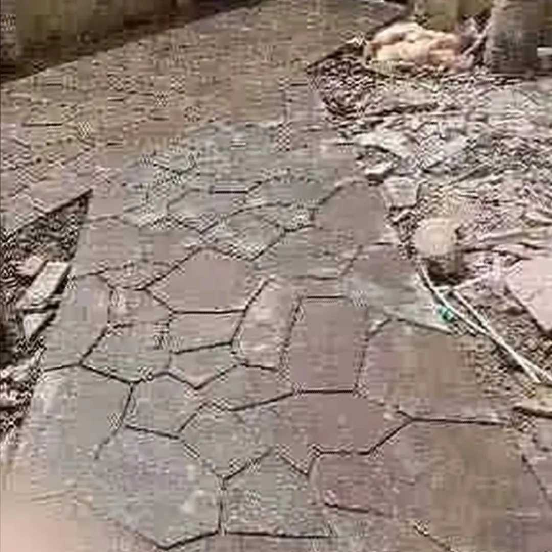 1726828477482.webp