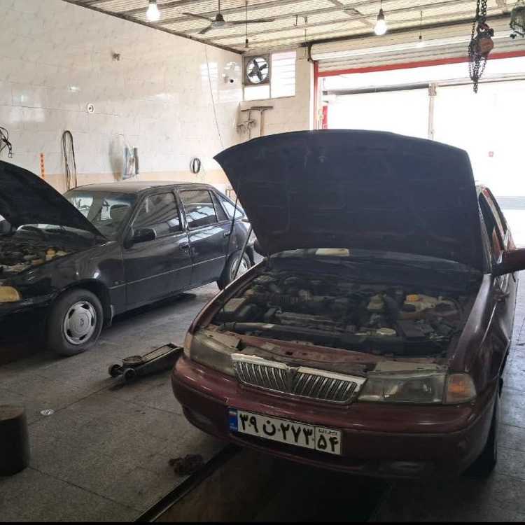 1729410892957.webp