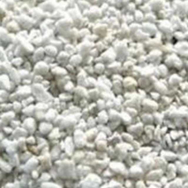 1729584279669.webp